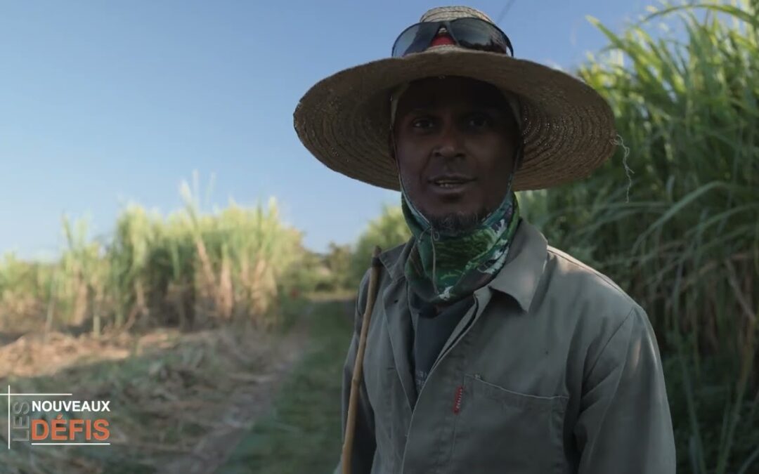 ⚙️ Mascarin & ESAT Ti Dalon : un modèle d’inclusion dans l’industrie réunionnaise