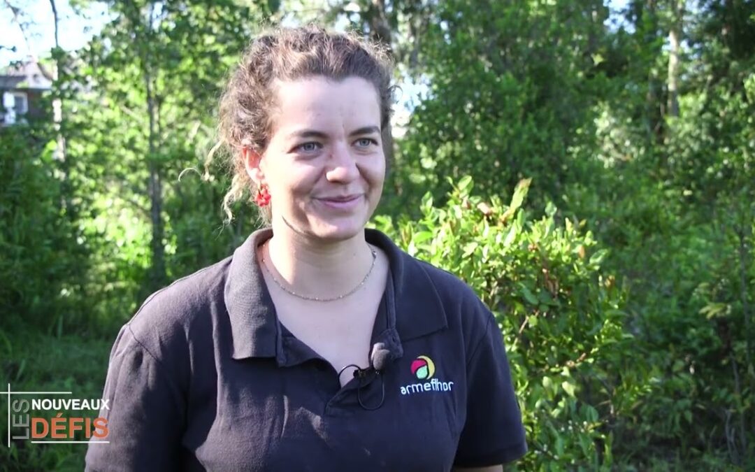 🌿 ARMEFLHOR : moderniser la production végétale à La Réunion